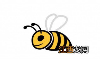 马蜂怎么养，马蜂怎么养殖大全视频