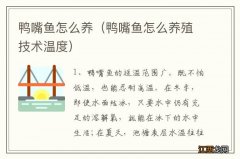 鸭嘴鱼怎么养殖技术温度 鸭嘴鱼怎么养