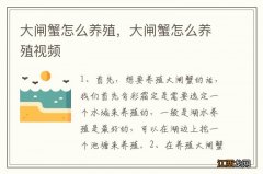 大闸蟹怎么养殖，大闸蟹怎么养殖视频