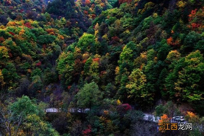 秦岭秘境 | 盘点从西安出发的最美公路