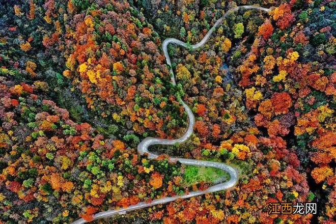 秦岭秘境 | 盘点从西安出发的最美公路