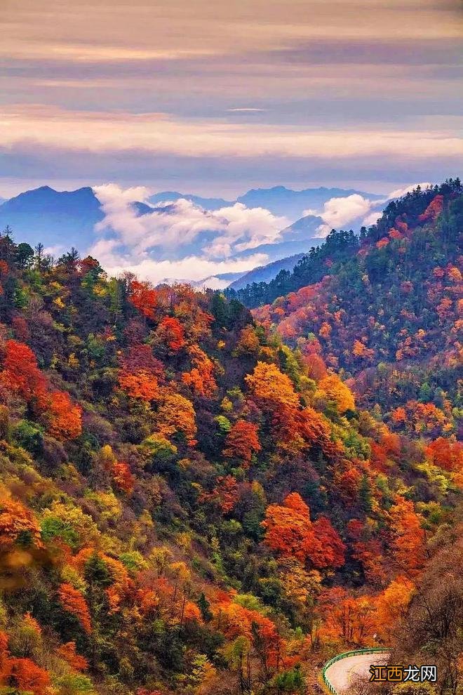 秦岭秘境 | 盘点从西安出发的最美公路