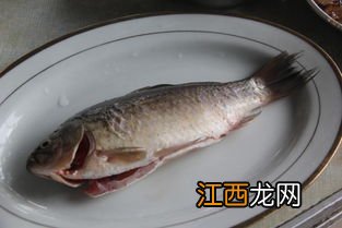 鱼过夜还能吃吗