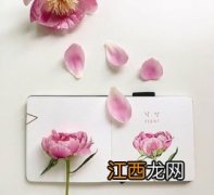 抖音上让人痛彻心扉的句子