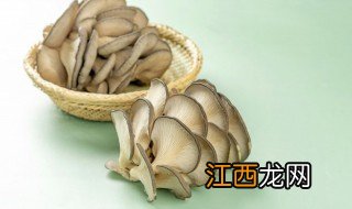 蘑菇怎么养殖 种植蘑菇