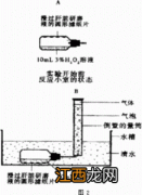 酶作为生物催化剂有哪些特点