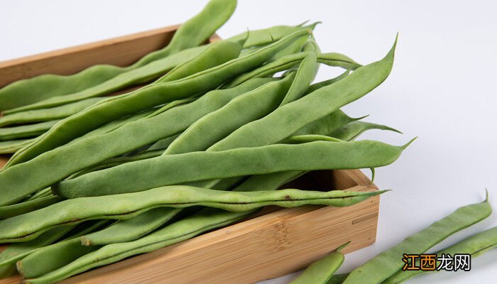 无筋架豆种植时间和方法 架豆种植时间和方法