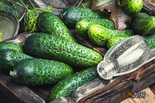 开春多吃五大排毒菜，一整年少生病！