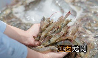 活虾怎么养活几天 活虾怎么养