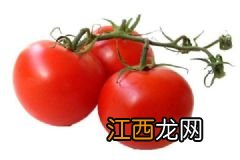 这些野菜竟然都有毒！你还敢吃吗？