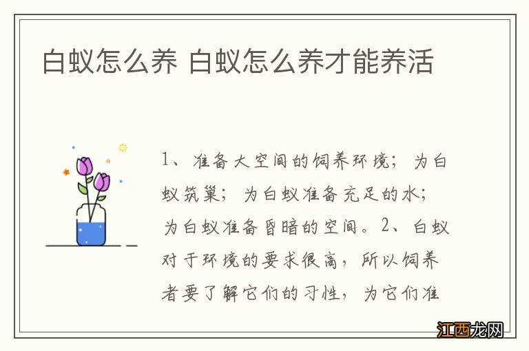 白蚁怎么养 白蚁怎么养才能养活