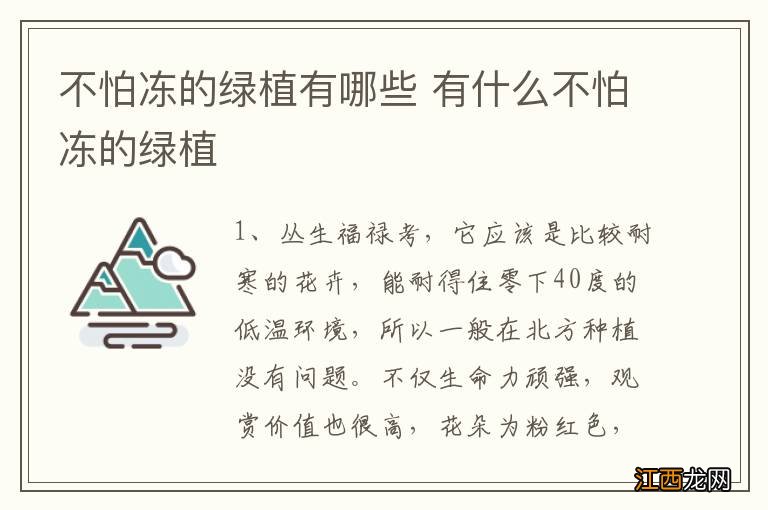 不怕冻的绿植有哪些 有什么不怕冻的绿植