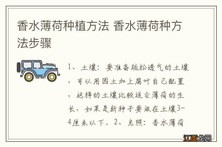 香水薄荷种植方法 香水薄荷种方法步骤