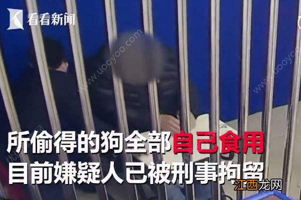 男子为吃狗肉，当街飞车抢走万元名犬