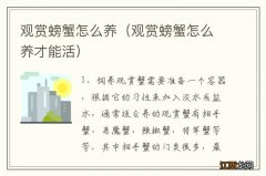 观赏螃蟹怎么养才能活 观赏螃蟹怎么养