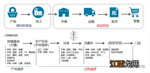 冷链包括什么