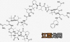 什么是蛋白质