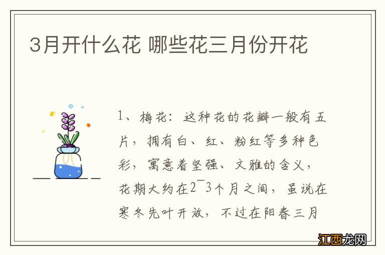 3月开什么花 哪些花三月份开花