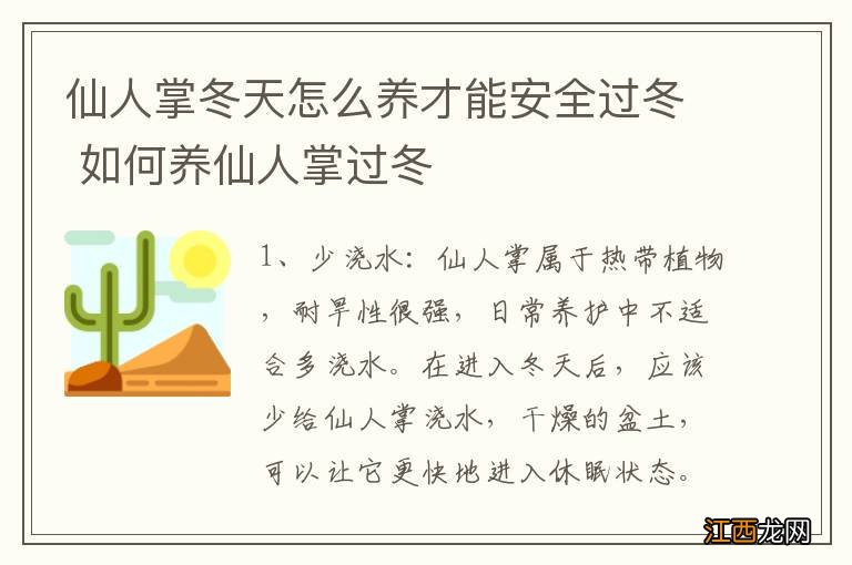 仙人掌冬天怎么养才能安全过冬 如何养仙人掌过冬