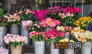 最吉祥的花有哪些 吉祥的花名有什么