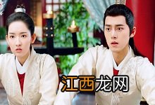 长安少年行沈蝶依身世