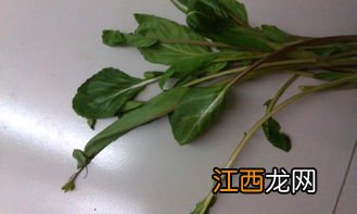 什么是植物营养