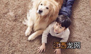 女不养狗男不养猫是什么意思 女不养狗男不养猫的意思