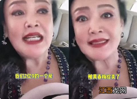 张兰直播爆S妈卖掉自家2.9亿房子！听孙女语音频哽咽，不敢给汪小菲听