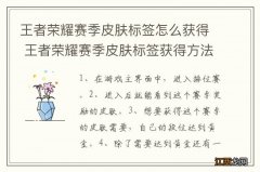 王者荣耀赛季皮肤标签怎么获得 王者荣耀赛季皮肤标签获得方法