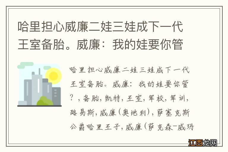 哈里担心威廉二娃三娃成下一代王室备胎。威廉：我的娃要你管？