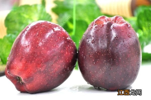 蛇果和苹果区别有哪些?蛇果和苹果营养有什么不同?