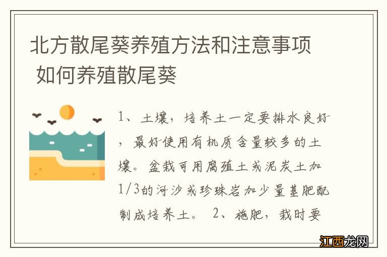 北方散尾葵养殖方法和注意事项 如何养殖散尾葵