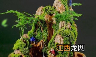 假山苔藓的养殖方法和注意事项 假山苔藓养护窍门和禁忌