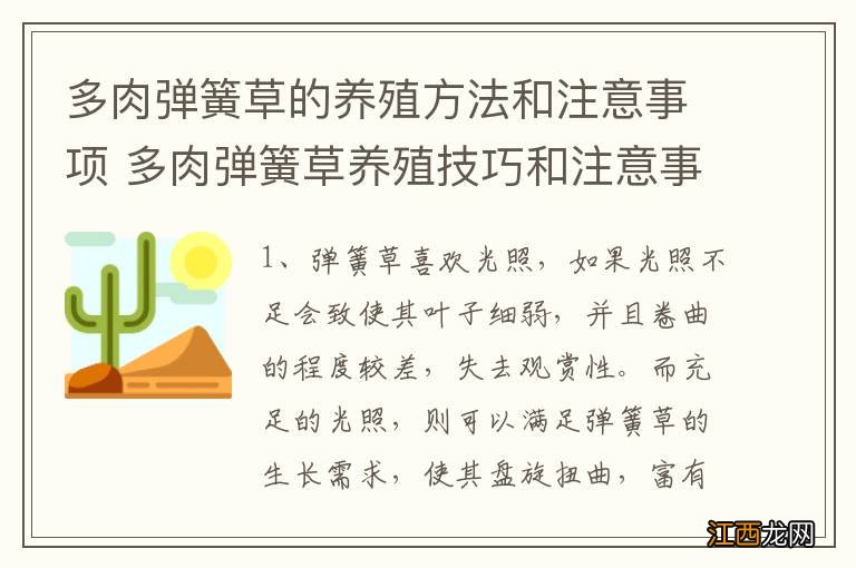 多肉弹簧草的养殖方法和注意事项 多肉弹簧草养殖技巧和注意事项有哪些