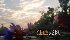 抖音原创作品怎么做