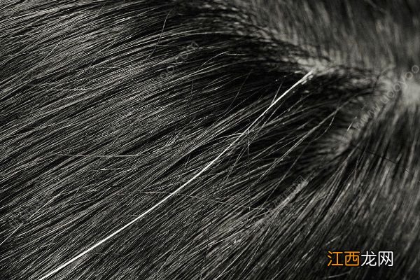 想要白发变黑发,吃这三种食物头发变黑效果好!