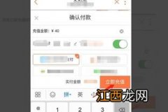 为什么手机数据突然不能用