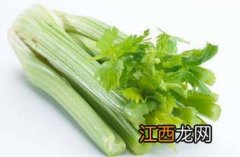 芹菜分几种