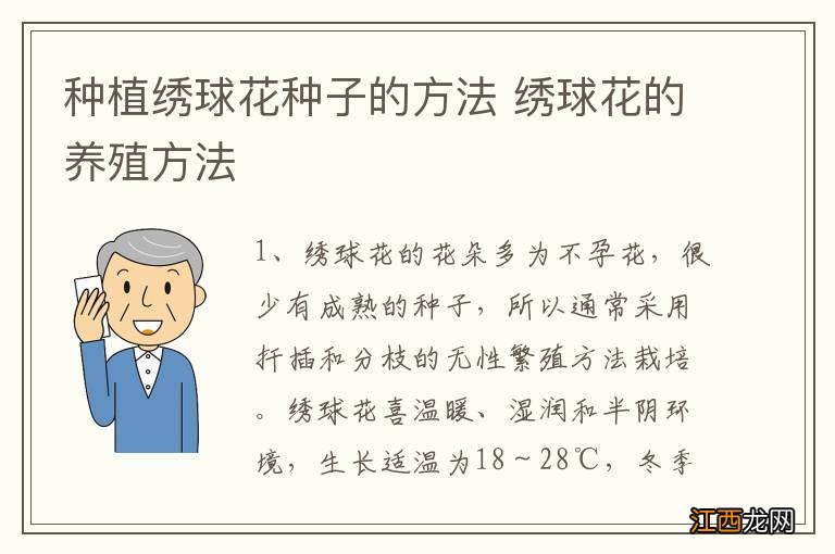 种植绣球花种子的方法 绣球花的养殖方法