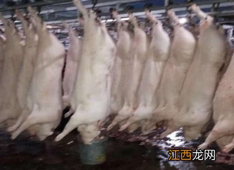 屠宰场需要什么手续