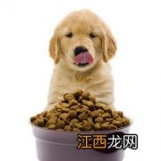 幼犬狗粮没到货应急吃什么