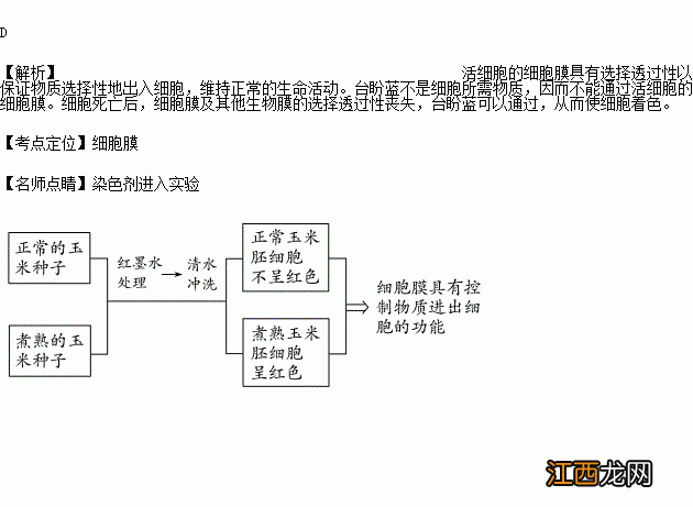 台盼蓝染色鉴别死活细胞的原理