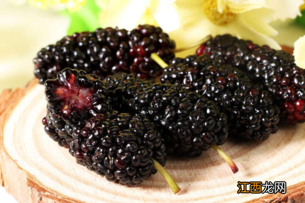 经常吃桑葚有什么好处？食用桑葚的禁忌有哪些？