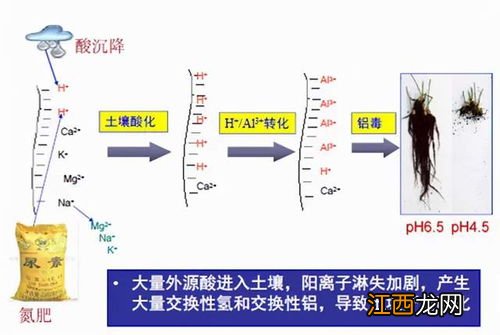 酸化是什么意思