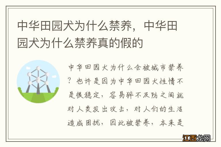 中华田园犬为什么禁养，中华田园犬为什么禁养真的假的