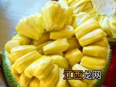 菠萝蜜的成熟季节是什么时候