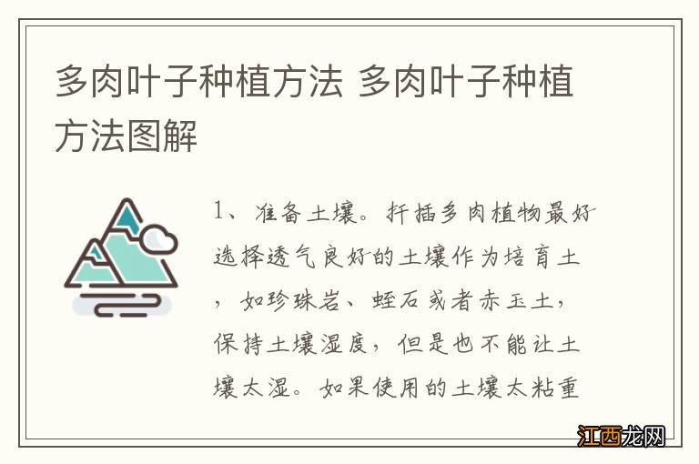 多肉叶子种植方法 多肉叶子种植方法图解