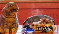 猫能吃虾皮吗