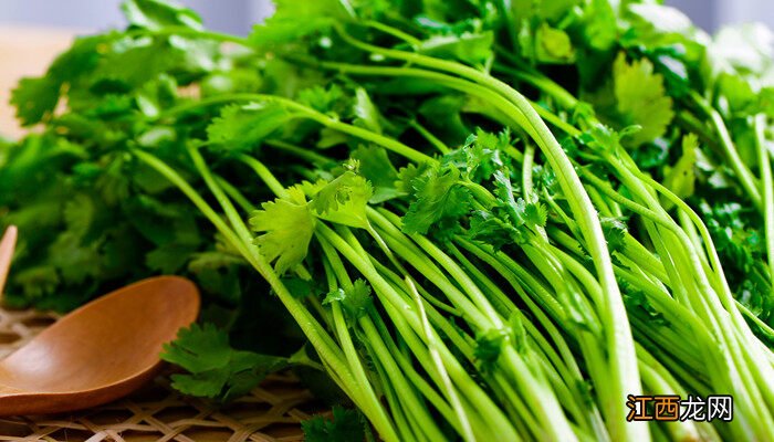 香菜种子要不要捻开