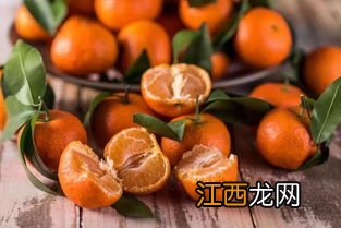 沙糖桔什么时候花芽分化